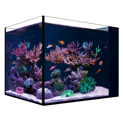 Red Sea Desktop Peninsula Tank - No Cabinet