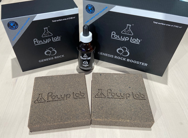 GENESIS ROCK BOOSTER